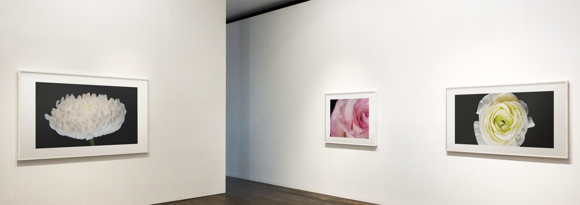 Salas de Exposiciones